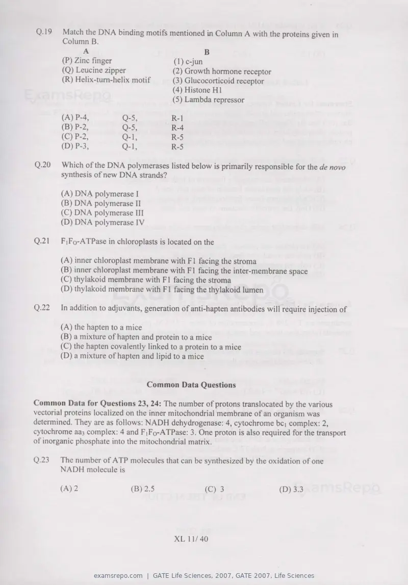 GATE Life Sciences 2007 question paper, GATE 2007, Life Sciences, page 11 of 35