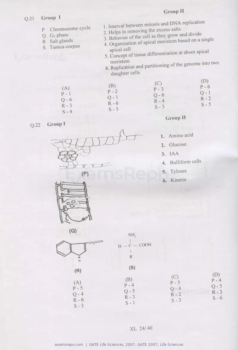 GATE Life Sciences 2007 question paper, GATE 2007, Life Sciences, page 24 of 35