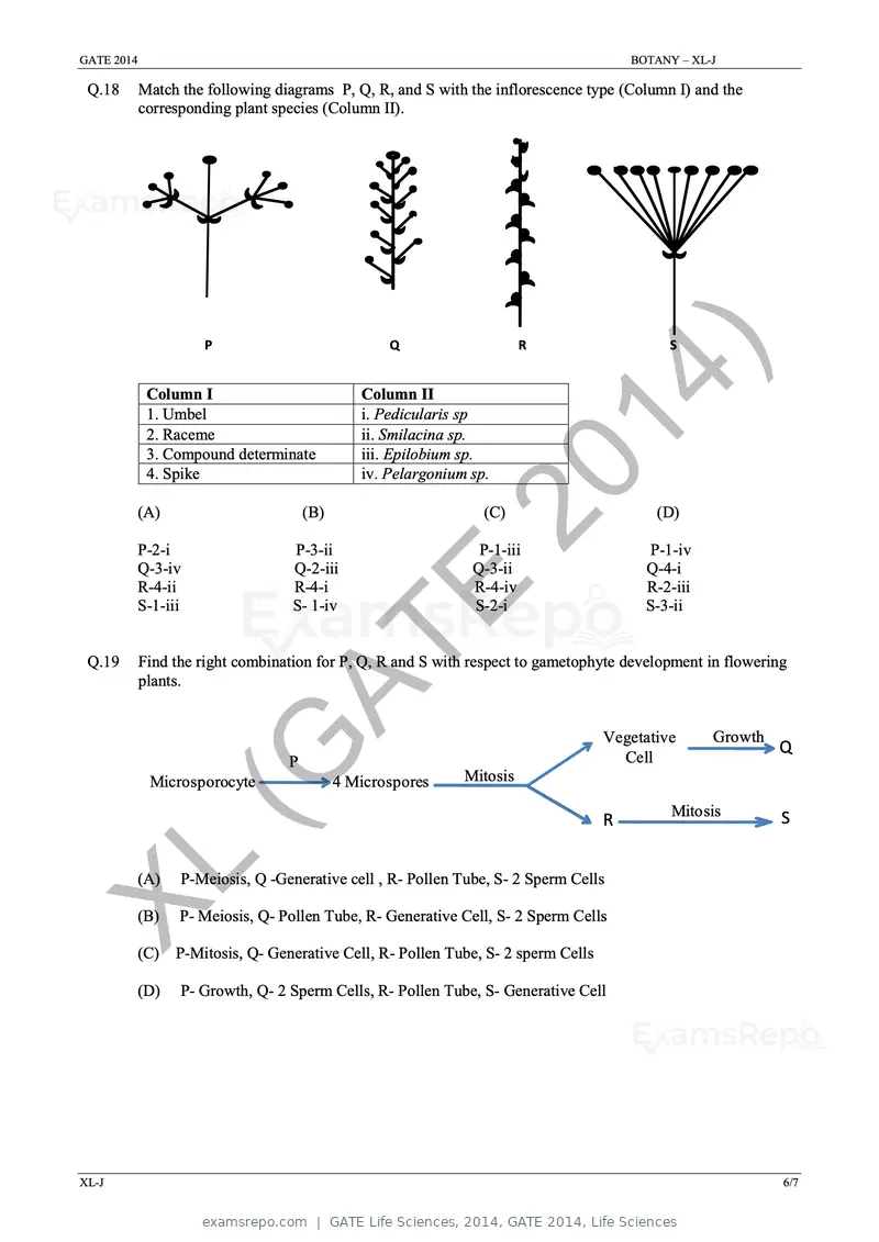 GATE Life Sciences 2014 question paper, GATE 2014, Life Sciences, page 20 of 33