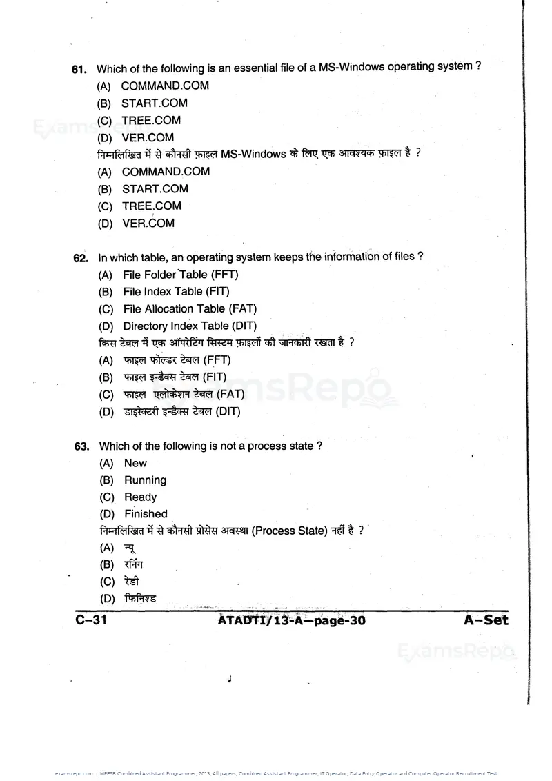 MPESB Combined Assistant Programmer 2013 question paper, All papers, Combined Assistant Programmer, IT Operator, Data Entry Operator and Computer Operator Recruitment Test, page 30 of 48