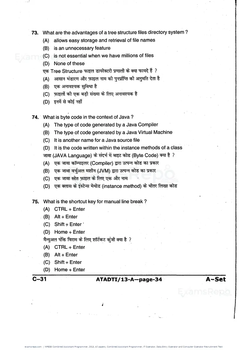 MPESB Combined Assistant Programmer 2013 question paper, All papers, Combined Assistant Programmer, IT Operator, Data Entry Operator and Computer Operator Recruitment Test, page 34 of 48