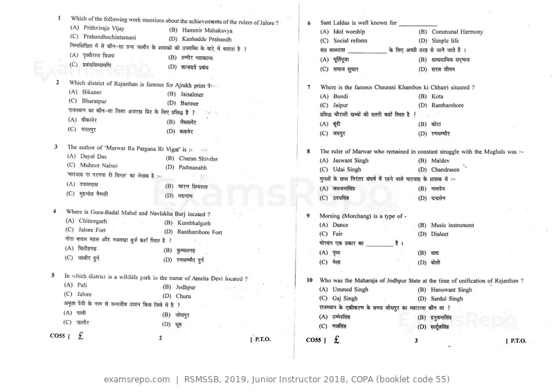 RSMSSB 2019 question paper, Junior Instructor 2018, COPA (booklet code 55), page 2 of 16