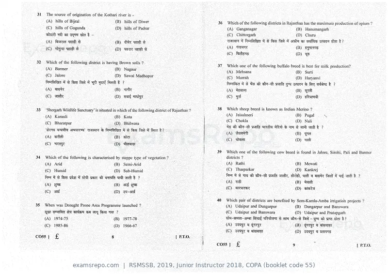 RSMSSB 2019 question paper, Junior Instructor 2018, COPA (booklet code 55), page 5 of 16