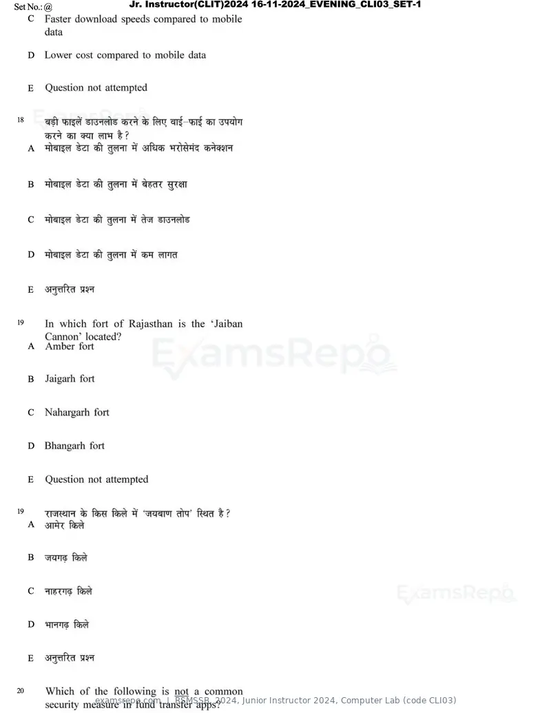 RSMSSB 2024 question paper, Junior Instructor 2024, Computer Lab (code CLI03), page 11 of 69