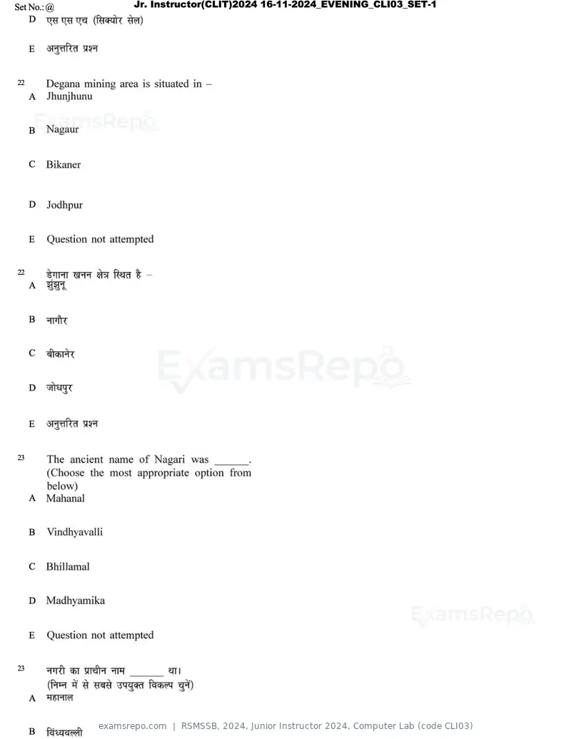 RSMSSB 2024 question paper, Junior Instructor 2024, Computer Lab (code CLI03), page 13 of 69