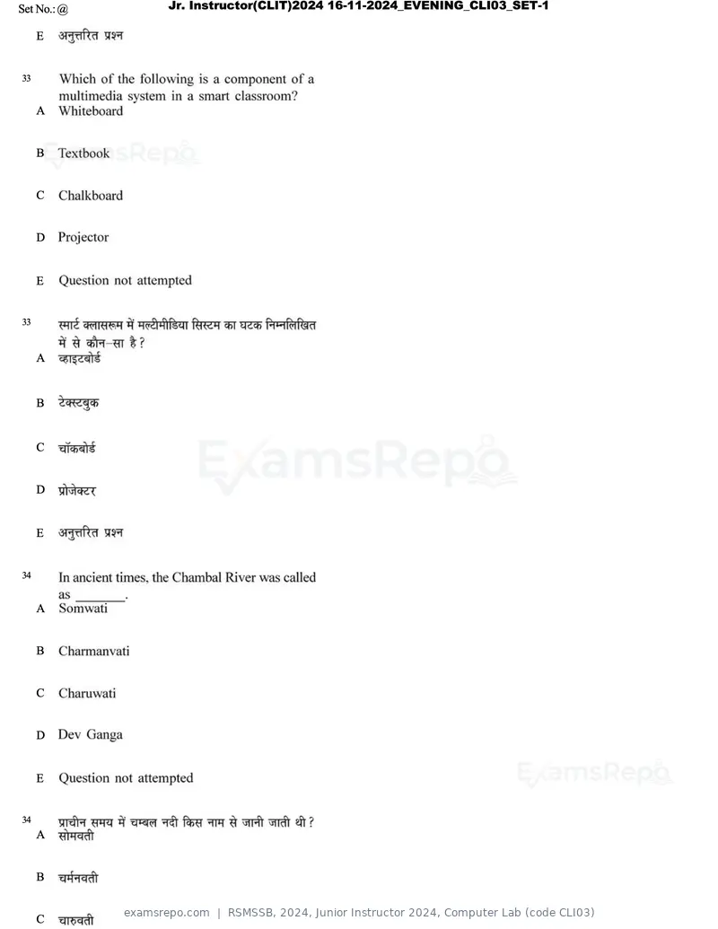 RSMSSB 2024 question paper, Junior Instructor 2024, Computer Lab (code CLI03), page 19 of 69