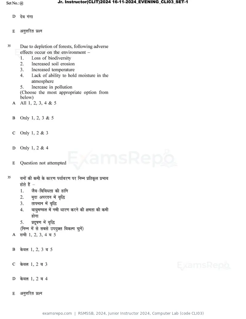 RSMSSB 2024 question paper, Junior Instructor 2024, Computer Lab (code CLI03), page 20 of 69
