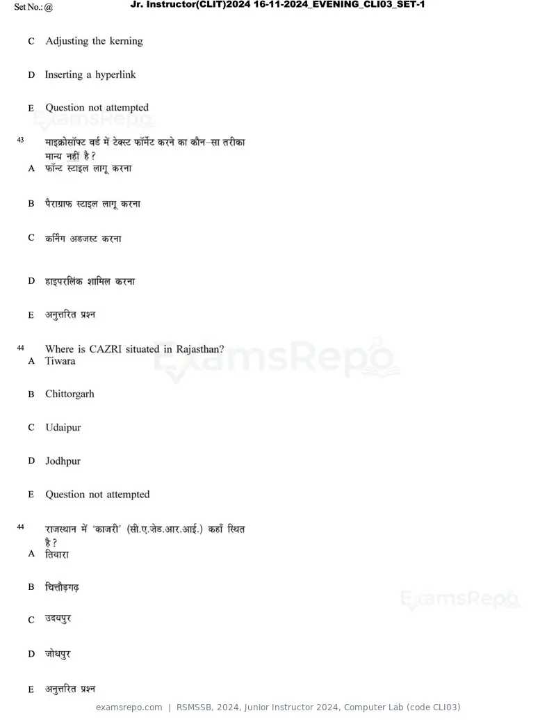 RSMSSB 2024 question paper, Junior Instructor 2024, Computer Lab (code CLI03), page 25 of 69