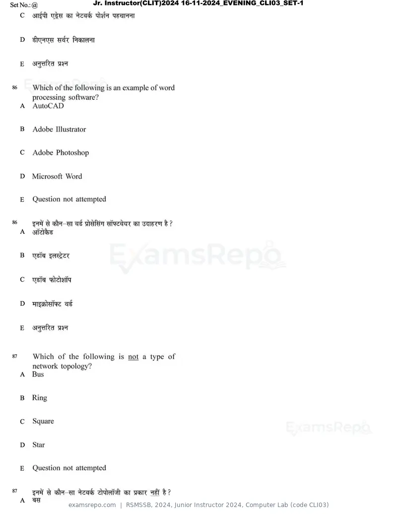 RSMSSB 2024 question paper, Junior Instructor 2024, Computer Lab (code CLI03), page 49 of 69