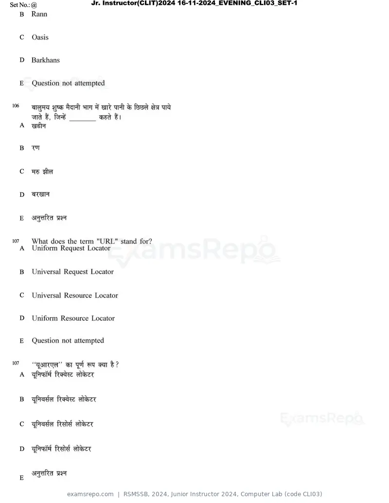 RSMSSB 2024 question paper, Junior Instructor 2024, Computer Lab (code CLI03), page 61 of 69