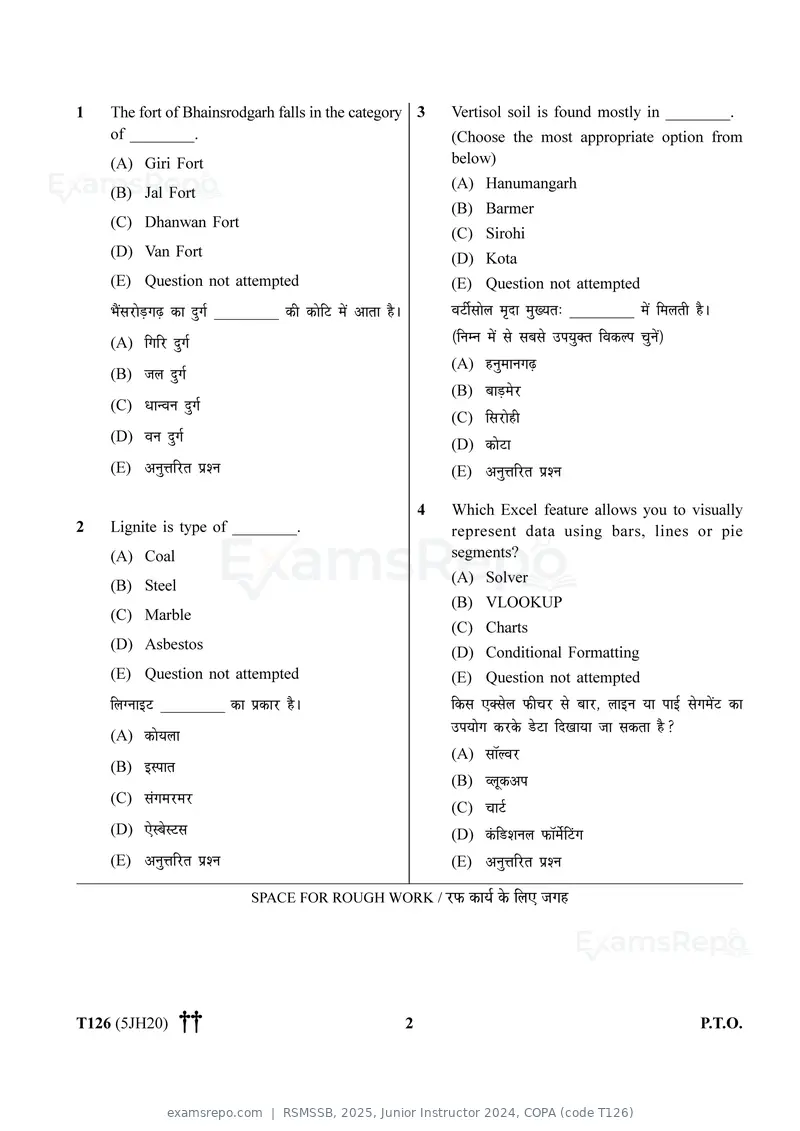 RSMSSB 2025 question paper, Junior Instructor 2024, COPA (code T126), page 2 of 32