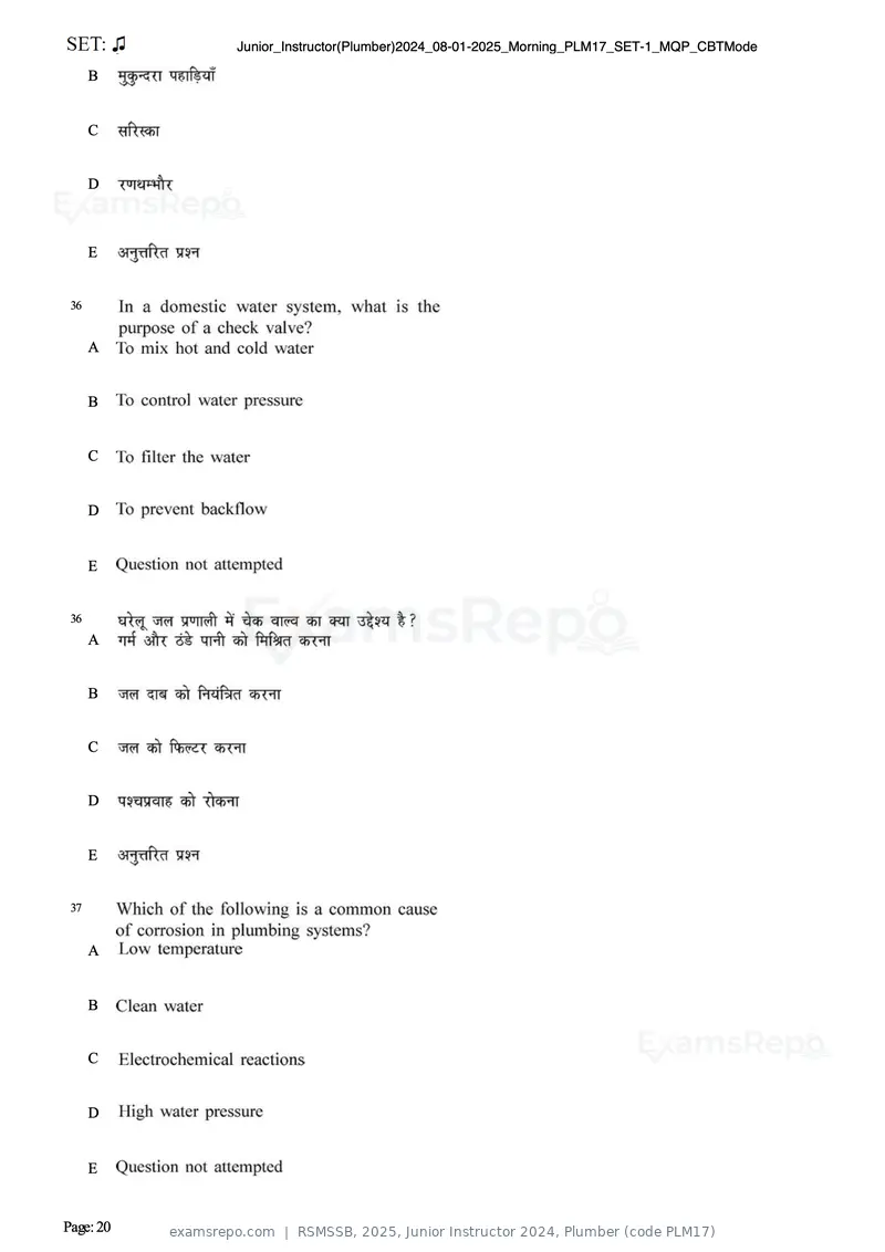 RSMSSB 2025 question paper, Junior Instructor 2024, Plumber (code PLM17), page 20 of 69