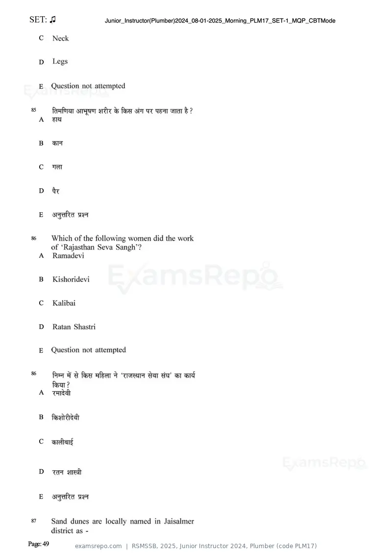 RSMSSB 2025 question paper, Junior Instructor 2024, Plumber (code PLM17), page 49 of 69