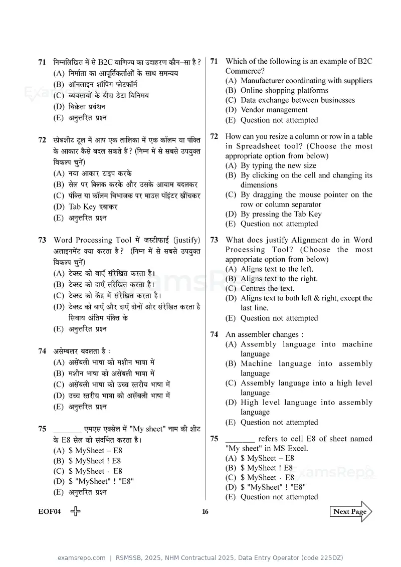 RSMSSB 2025 question paper, NHM Contractual 2025, Data Entry Operator (code 225DZ), page 16 of 32